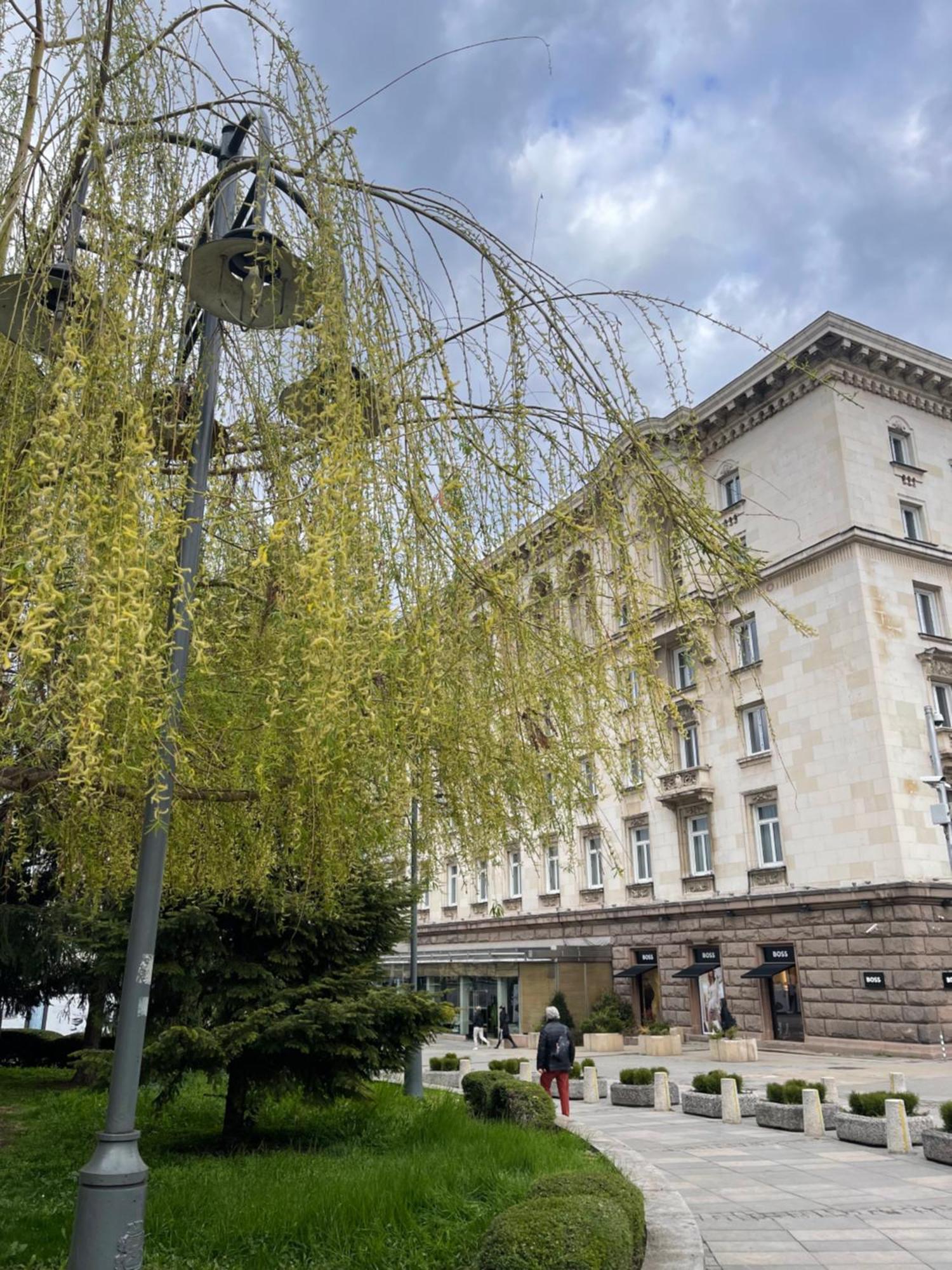 Sofia Balkan Palace Hotel Exterior photo The hotel in 2019